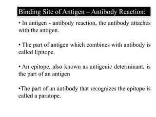Binding Site of Antigen – Antibody Reaction:
• In antigen - antibody reaction, the antibody attaches
with the antigen.
• The part of antigen which combines with antibody is
called Epitope.
• An epitope, also known as antigenic determinant, is
the part of an antigen
•The part of an antibody that recognizes the epitope is
called a paratope.
 
