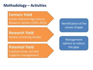 Assessment of wheat yield gap in Central Asia | PPTX