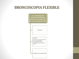 BRONCOSCOPIA FLEXIBLE
La versatilidad del
broncoscopío flexible
permite su introducción
por una variedad de rutas:
Transnasal.
Transoral.
•A través de un broncoscopío rígido.
•De un tubo endotraqueal.
•De una mascara laríngea.
•O simplemente con un protector
dental.
A través de una traqueostomía.
 