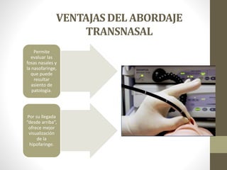 VENTAJAS DEL ABORDAJE
TRANSNASAL
Permite
evaluar las
fosas nasales y
la nasofaringe,
que puede
resultar
asiento de
patología.
Por su llegada
“desde arriba”,
ofrece mejor
visualización
de la
hipofaringe.
 