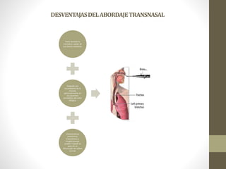 DESVENTAJASDELABORDAJETRANSNASAL
Dolor durante la
maniobra a pesar de
una buena anestesia.
Sangrado por
traumatismo de la
mucosa,
particularmente en
los pacientes
portadores de rinitis
alérgica.
Características
anatómicas,
traumatismo y
cirugías previas
pueden impedir el
paso de un
fibroscopío de calibre
normal.
 