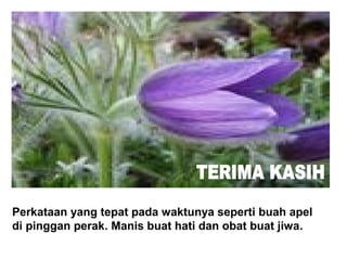 Perkataan yang tepat pada waktunya seperti buah apel
di pinggan perak. Manis buat hati dan obat buat jiwa.
 