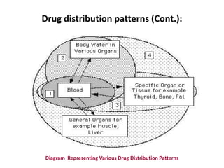 05.0 drug distribution | PPTX