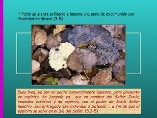 Pues bien, yo por mi parte corporalmente ausente, pero presente en espíritu, he juzgado ya... que en nombre del Señor Jesús, reunidos vosotros y mi espíritu, con el poder de Jesús Señor nuestro, sea entregado ese individuo a Satanás ... a fin de que el espíritu se salve en el Día del Señor.  (5,3-5) *  Pablo se siente solidario e impone una pena de excomunión con finalidad medicinal (3-5) 