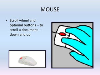 MOUSE
• Scroll wheel and
optional buttons – to
scroll a document –
down and up
 