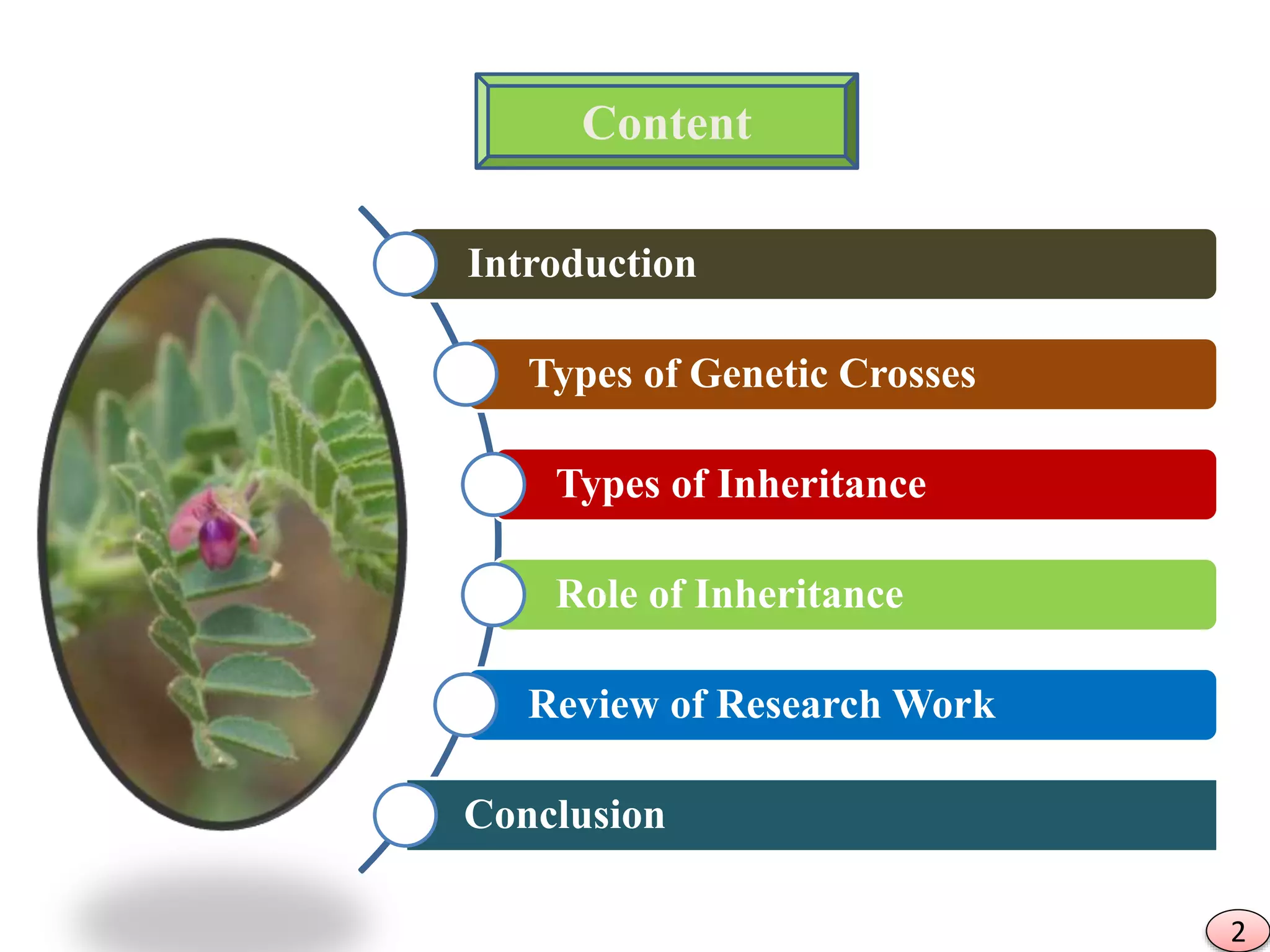 ROLE OF INHERITANCE IN CROP IMPROVEMENT | PPTX