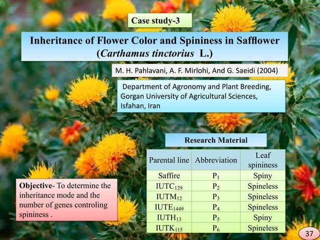 ROLE OF INHERITANCE IN CROP IMPROVEMENT | PPT
