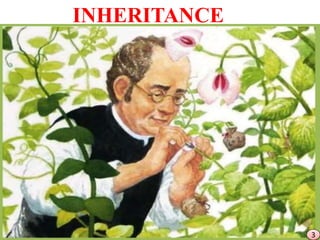 ROLE OF INHERITANCE IN CROP IMPROVEMENT | PPTX