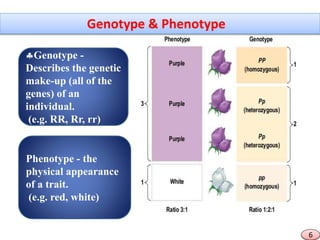 ROLE OF INHERITANCE IN CROP IMPROVEMENT | PPTX