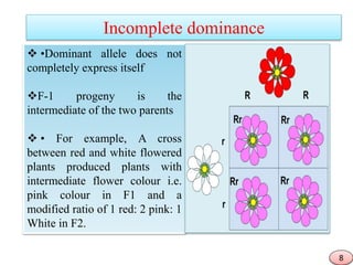 ROLE OF INHERITANCE IN CROP IMPROVEMENT | PPTX
