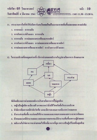 '
.., . ... <fq .::4
1U0lfl~tlfl 4 tiUltltl 2561 run 11.30 - 13.30 u.
' ' ..
11. n'i~tnum'i1~rrhh1-H'ml'aA1iutJu1~een1•~.,uu'i'itnmfiAThJ,;uua~a~a~ V~nnh~u
1. t11'iflUJ~1 t11'i't'iUJ1l
CJI.cl .:::1 .:::toGJQJ~ .cl ct t
2. 01llt11'Hl~tfl'i!flllfl11~1'1f'Vt'lf Ut1l~llt11'itf~tflltf11!fllllllt1t111't'i8D'nlt1
' V I ..: J' I "'Vo V
3. Oln'i~VIlD!'Vtli'UU 9~i:J~ND&'t'i91U1UUlJD~UD~'t'itlDfllt1D~D~!'Vt11~81't'i11UtlDD~
. ' ..
Sl .&:to .clo o~~~~:~tod Sit
4. 01t11J!!D~Ut1li11U1UD~D~ UlJD~!UI~'t'itlDfllt1l~li91U1U!'Vtli'UU!'Vt'il~~a1D~D~
r r r .,
v "1 ~ I I ,_1.:1 .cl .:1 !fl V ""~ v V
5. 'rtD~~lU &U &0Jrtll't'i111~01Dfltl~ 'Ufl!'t'iDD1lllt1fi£I~ !'rt'il~!'UU~1J'i&ilfl'UU£I~fi1D
 