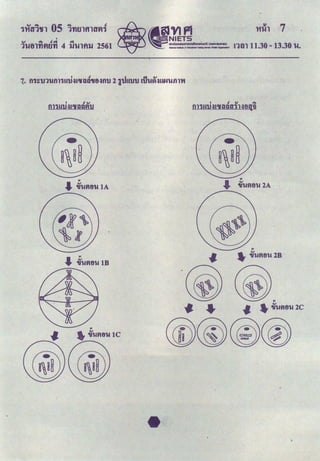 '
..., "" ,Jq ...
l'Utllflf'ltlfl 4 ti'Ulfltl 2561
I ov
011U'U~&OJJtUifi'U
......·····•········...
(__~,~~)
............................··
 