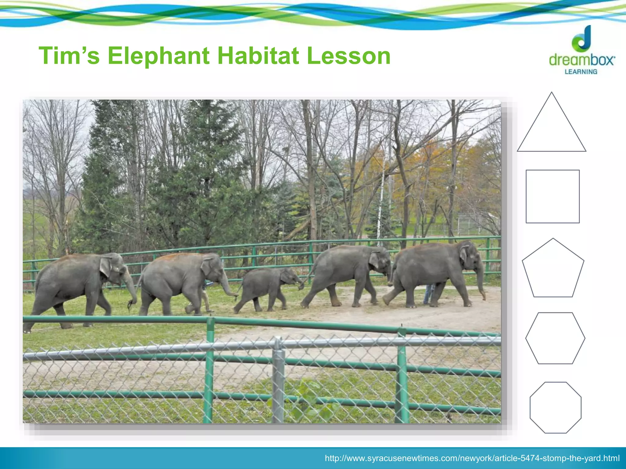 Tim’s Elephant Habitat Lesson
http://www.syracusenewtimes.com/newyork/article-5474-stomp-the-yard.html
 