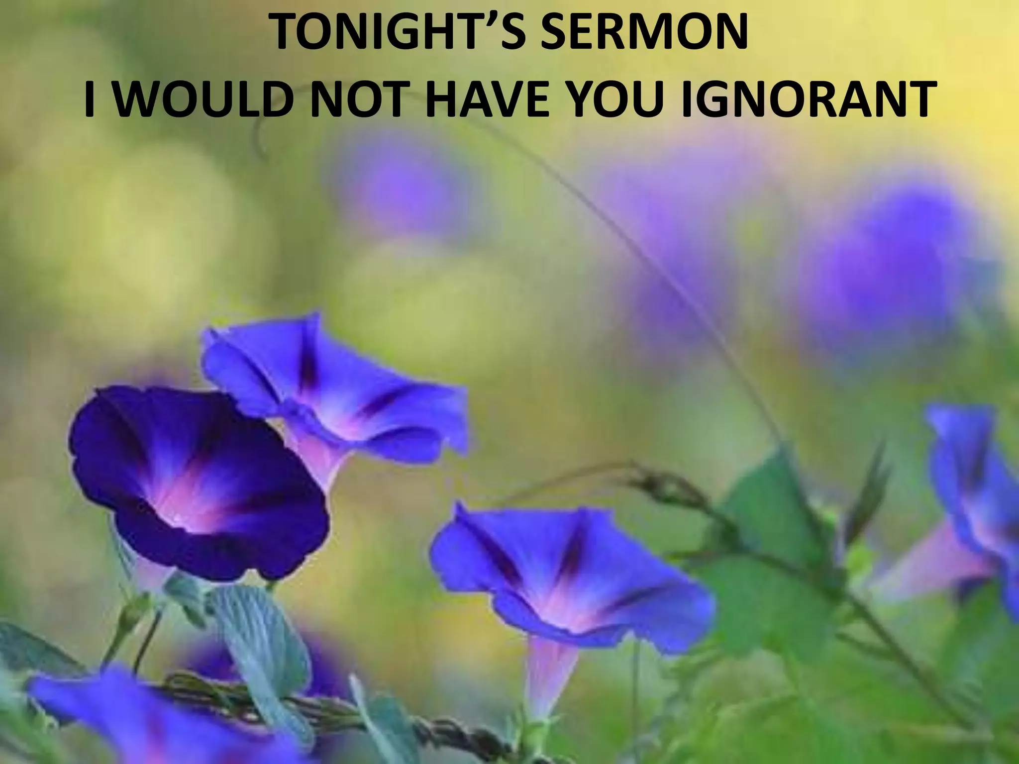 TONIGHT’S SERMON
I WOULD NOT HAVE YOU IGNORANT
 