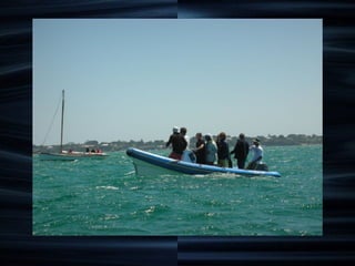 Professional Rib Boats | VSR - Very Slender Rib | Coach Boats | PPT