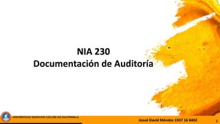 1
NIA 230
Documentación de Auditoría
Josué David Méndez 1937 16 8402
 