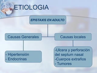 ETIOLOGIA
EPISTAXIS EN ADULTO
Causas Generales Causas locales
- Hipertensión
- Endocrinas
-Ulcera y perforación
del septum nasal
-Cuerpos extraños
- Tumores
 