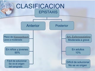 Anterior Posterior
Art. Esfenopalatina
Moderada a grave
En adultos
10%
En niños y jovenes
90%
Plexo de Kiesseelbach
Leve a moderada
Fácil de solucionar
Se ve el origen
del sangrado
Difícil de solucionar
No se ve origen
CLASIFICACION
EPISTAXIS
 