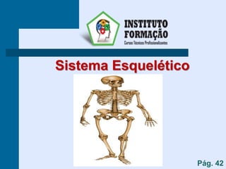 Sistema Esquelético
Pág. 42
 