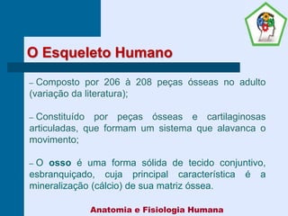 O Esqueleto Humano
– Composto por 206 à 208 peças ósseas no adulto
(variação da literatura);
– Constituído por peças ósseas e cartilaginosas
articuladas, que formam um sistema que alavanca o
movimento;
– O osso é uma forma sólida de tecido conjuntivo,
esbranquiçado, cuja principal característica é a
mineralização (cálcio) de sua matriz óssea.
Anatomia e Fisiologia Humana
 