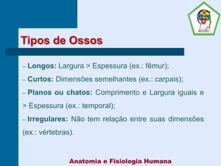 Tipos de Ossos
– Longos: Largura > Espessura (ex.: fêmur);
– Curtos: Dimensões semelhantes (ex.: carpais);
– Planos ou chatos: Comprimento e Largura iguais e
> Espessura (ex.: temporal);
– Irregulares: Não tem relação entre suas dimensões
(ex.: vértebras).
Anatomia e Fisiologia Humana
 