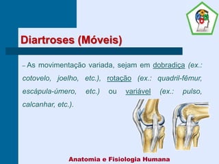Diartroses (Móveis)
– As movimentação variada, sejam em dobradiça (ex.:
cotovelo, joelho, etc.), rotação (ex.: quadril-fêmur,
escápula-úmero, etc.) ou variável (ex.: pulso,
calcanhar, etc.).
Anatomia e Fisiologia Humana
 