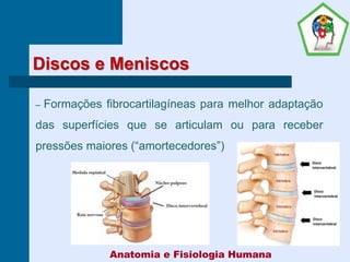 Discos e Meniscos
– Formações fibrocartilagíneas para melhor adaptação
das superfícies que se articulam ou para receber
pressões maiores (“amortecedores”)
Anatomia e Fisiologia Humana
 