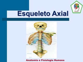 Esqueleto Axial
Anatomia e Fisiologia Humana
 