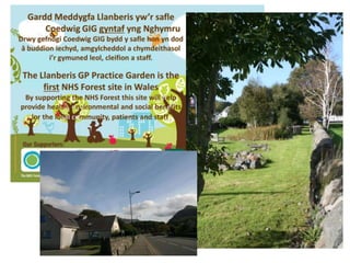 Dr Ambra Burl - Healthy Parks, Healthy People - Presentation at The Sustainable Green Infrastructure Conference 2014