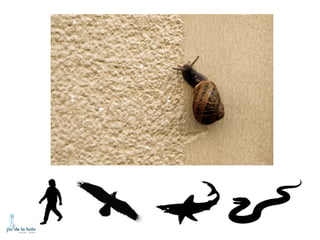 HOW DO ANIMALS MOVE?