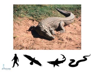 HOW DO ANIMALS MOVE?