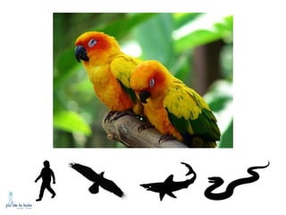 HOW DO ANIMALS MOVE?