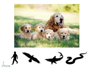 HOW DO ANIMALS MOVE?