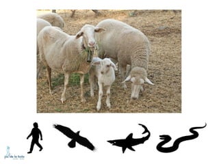 HOW DO ANIMALS MOVE?