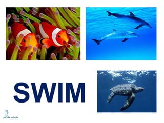 SWIM

 