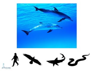 HOW DO ANIMALS MOVE?