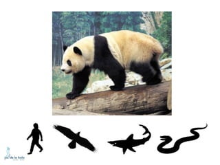 HOW DO ANIMALS MOVE?