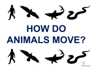 HOW DO
ANIMALS MOVE?

 