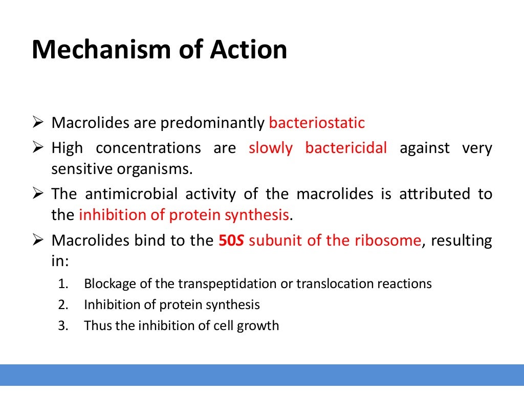 Antibiotics Groups Macrolides
