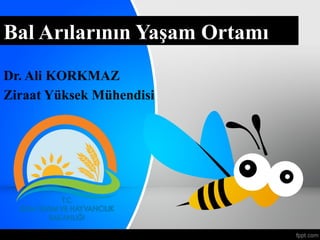 Bal Arılarının Yaşam Ortamı
Dr. Ali KORKMAZ
Ziraat Yüksek Mühendisi
 