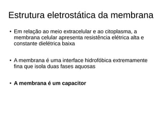 Estrutura eletrostática da membrana
● Em relação ao meio extracelular e ao citoplasma, a
membrana celular apresenta resistência elétrica alta e
constante dielétrica baixa
● A membrana é uma interface hidrofóbica extremamente
fina que isola duas fases aquosas
● A membrana é um capacitor
 