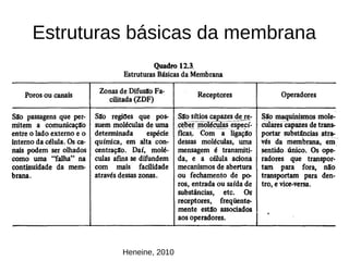 Estruturas básicas da membrana
Heneine, 2010
 