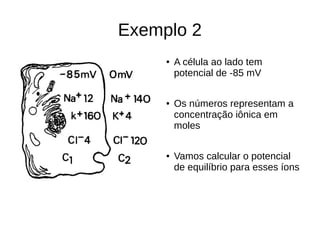 Exemplo 2
● A célula ao lado tem
potencial de -85 mV
● Os números representam a
concentração iônica em
moles
● Vamos calcular o potencial
de equilíbrio para esses íons
 