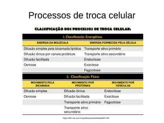 Processos de troca celular
https://dfs.vwi.com.br/publicacao/download/id/1794
 