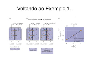 Voltando ao Exemplo 1…
 
