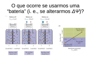 O que ocorre se usarmos uma
“bateria” (i. e., se alterarmos ΔΨ)?
 