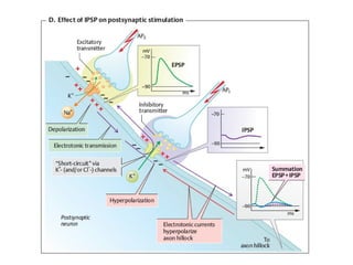 Membranas biológicas