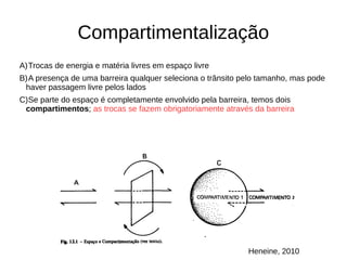 Compartimentalização
A)Trocas de energia e matéria livres em espaço livre
B)A presença de uma barreira qualquer seleciona o trânsito pelo tamanho, mas pode
haver passagem livre pelos lados
C)Se parte do espaço é completamente envolvido pela barreira, temos dois
compartimentos; as trocas se fazem obrigatoriamente através da barreira
Heneine, 2010
 
