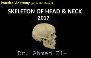 SKELETON OF HEAD & NECK
2017
Dr. Ahmed El-
Practical Anatomy for dental student
 