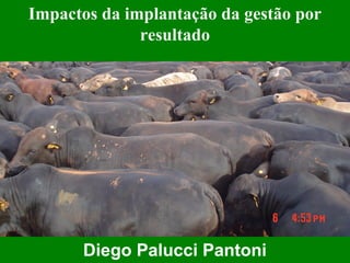 Impactos da implantação da gestão por
              resultado




      Diego Palucci Pantoni
 
